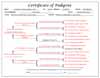 Ms. Annie's Pedigree
