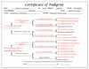 Ms. Rorie's Pedigree