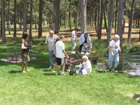 Schnauzer Specialty Dog Show